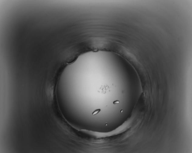 X0000088390454200705291412