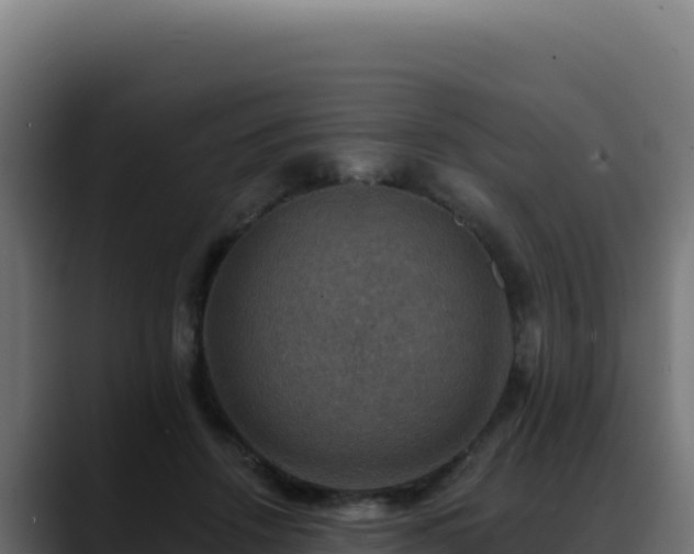 X0000088390456200705291412