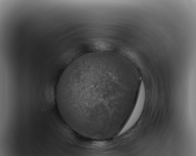 X0000088390457200705291412