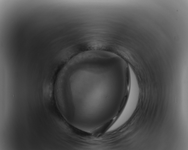 X0000088390458200705291412