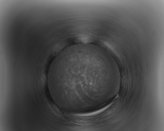 X0000088390459200705291412