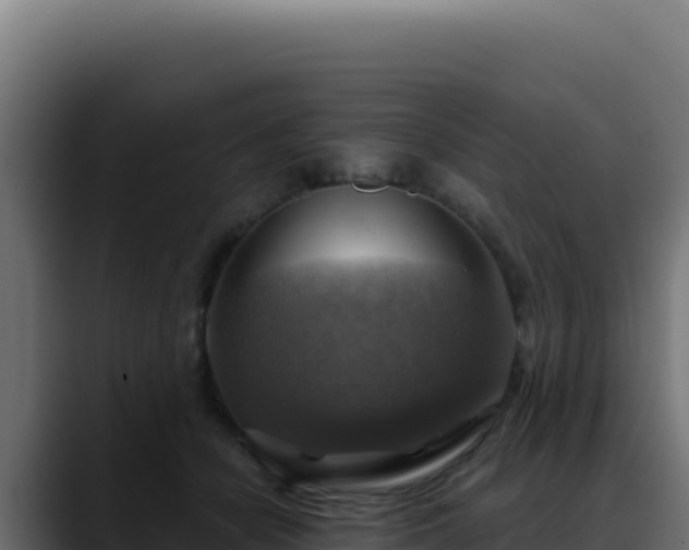 X0000088390462200705291412