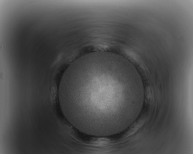 X0000088390463200705291412