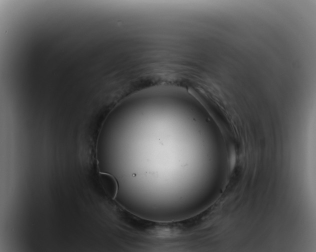 X0000088390464200705291412