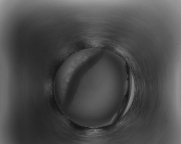 X0000088390465200705291412