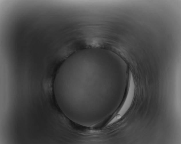 X0000088390466200705291412