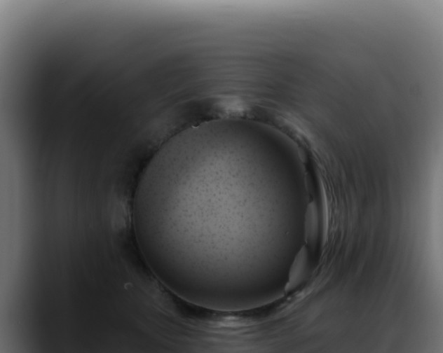 X0000088390467200705291412