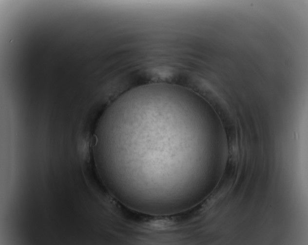 X0000088390468200705291412