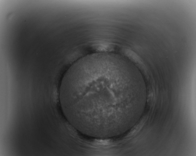 X0000088390469200705291412