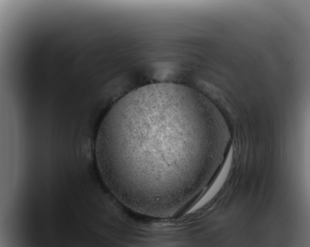 X0000088390470200705291412