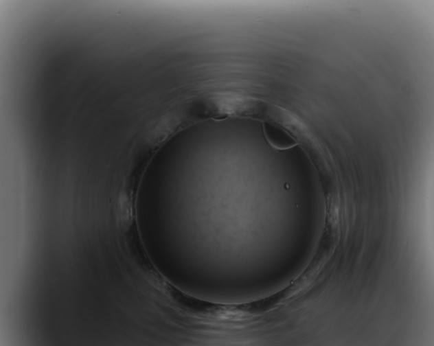 X0000088390471200705291412