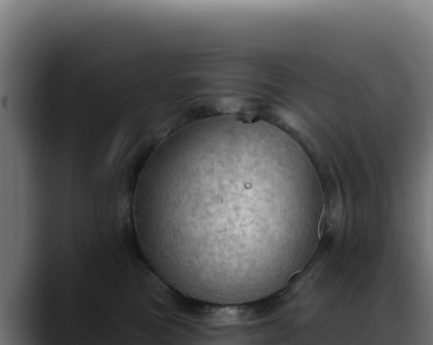 X0000088390473200705291412