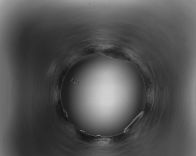 X0000088390474200705291412