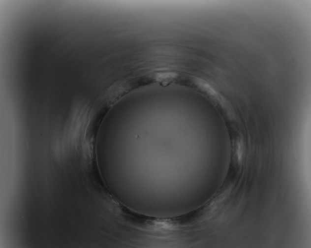 X0000088390475200705291412