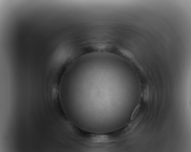 X0000088390476200705291412