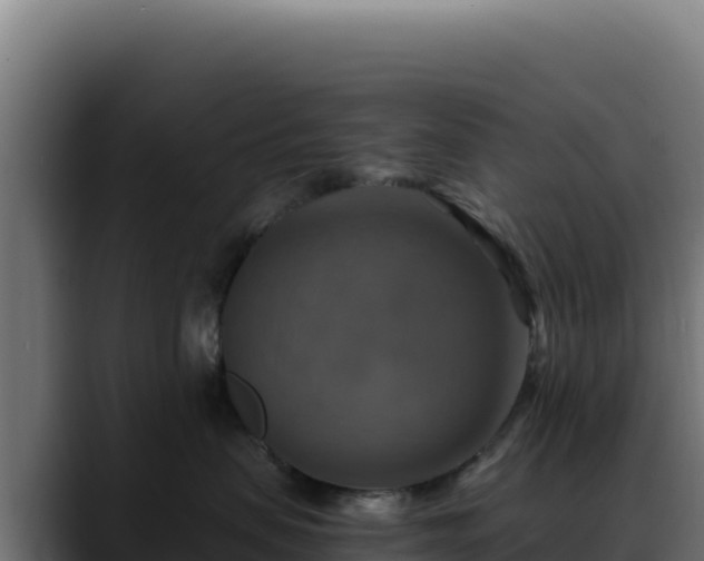 X0000088390479200705291412