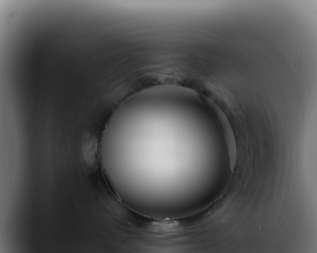 X0000088390480200705291412