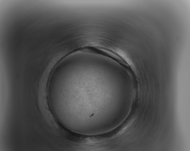 X0000088390481200705291411