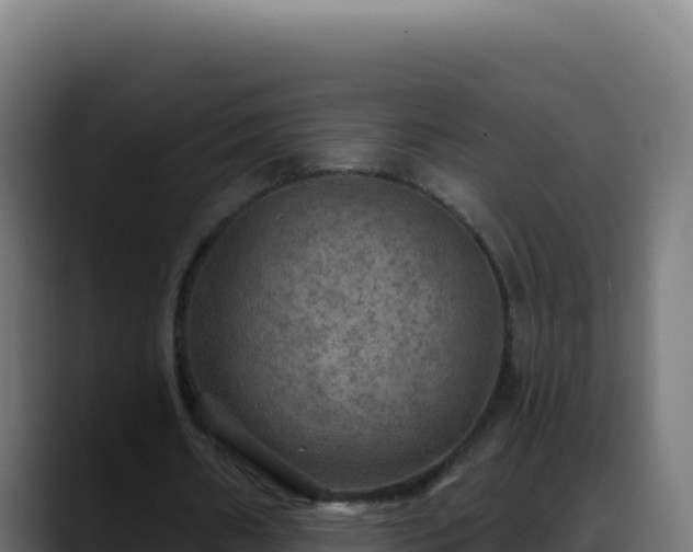 X0000088390482200705291411