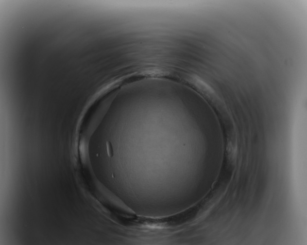 X0000088390484200705291411