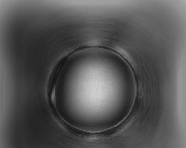 X0000088390485200705291411