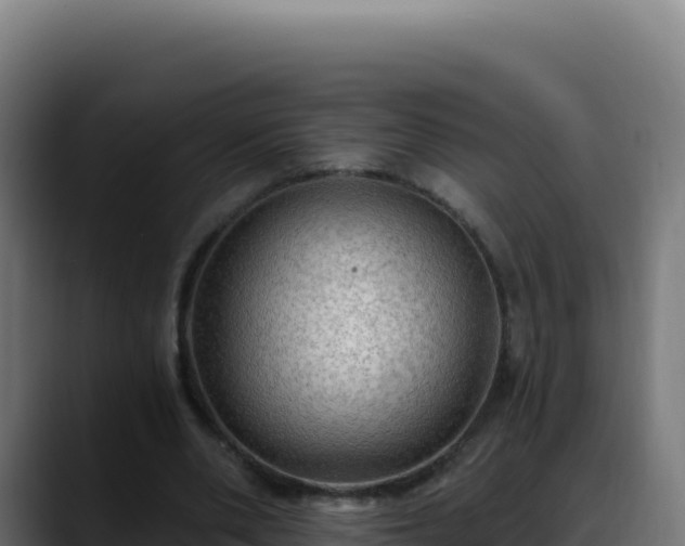 X0000088390486200705291411