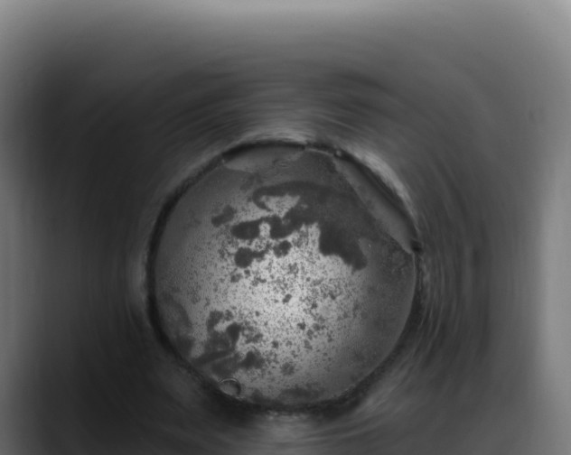 X0000088390487200705291411