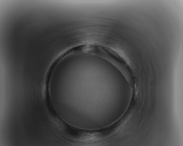 X0000088390488200705291411