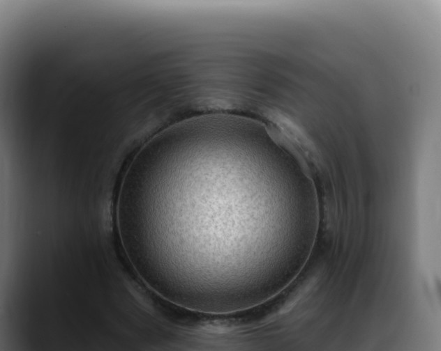 X0000088390489200705291411