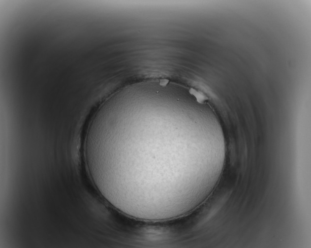 X0000088390490200705291411