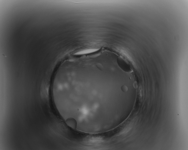 X0000088390491200705291411