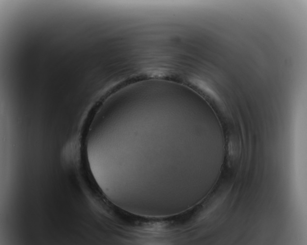 X0000088390492200705291411