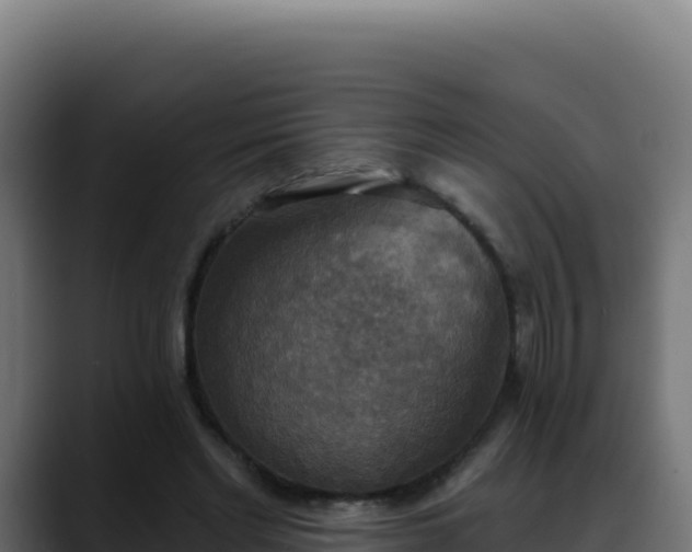 X0000088390493200705291411