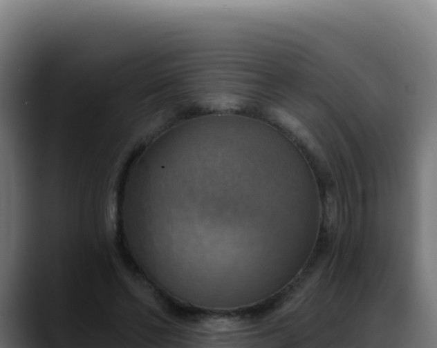 X0000088390494200705291411