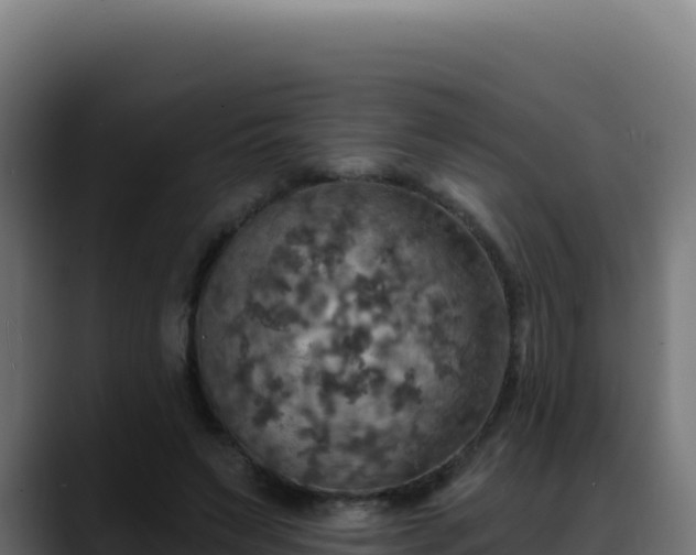 X0000088390495200705291411