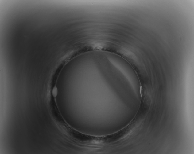 X0000088390496200705291411