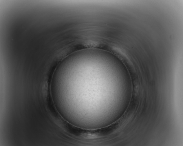 X0000088390498200705291411