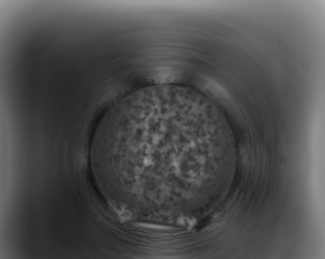 X0000088390499200705291411