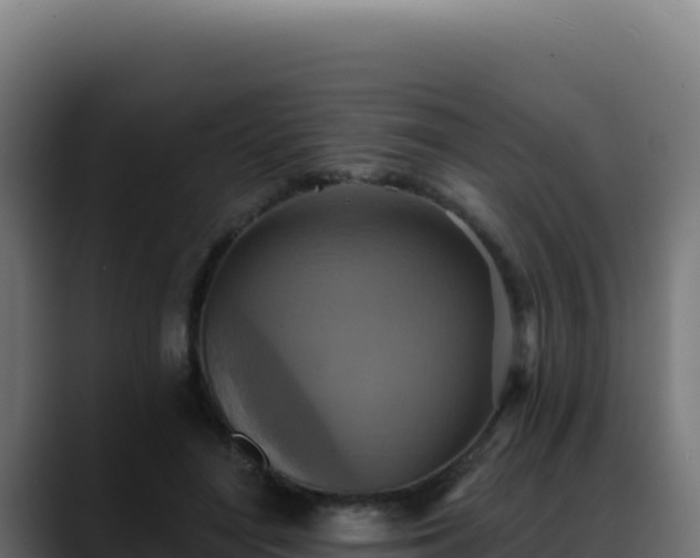 X0000088390500200705291411