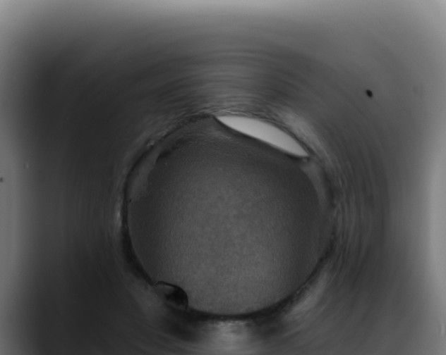 X0000088390501200705291411