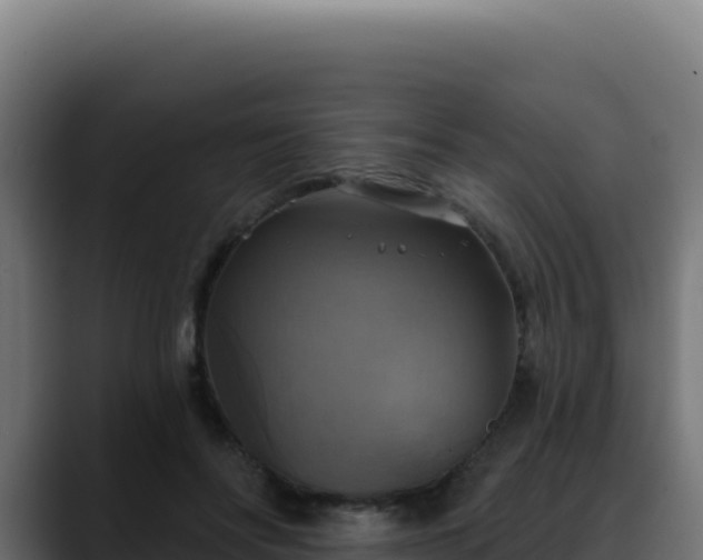 X0000088390502200705291411