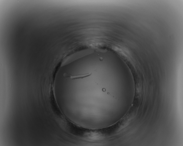 X0000088390503200705291411