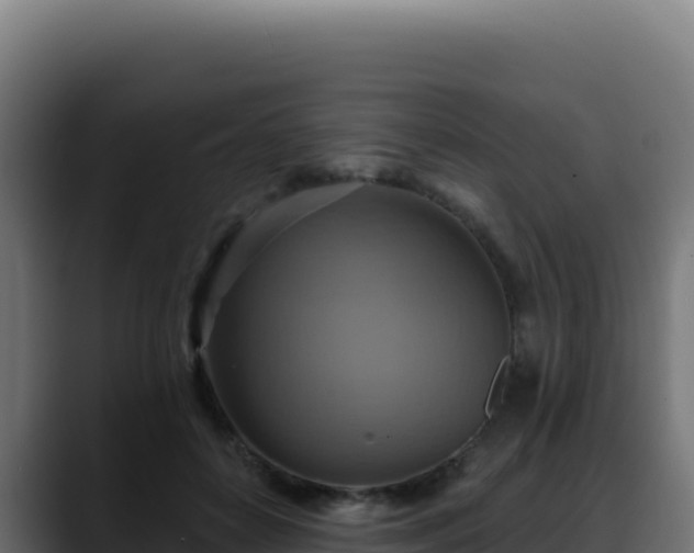 X0000088390504200705291411