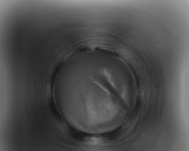 X0000088390506200705291411