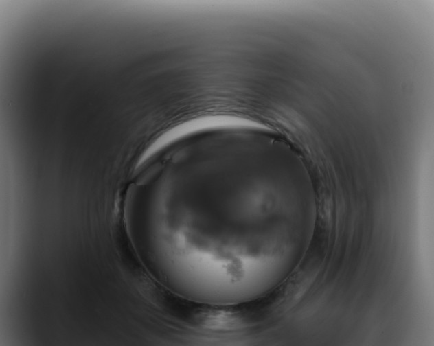 X0000088390507200705291411