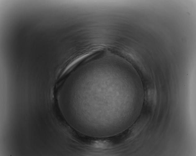 X0000088390508200705291411