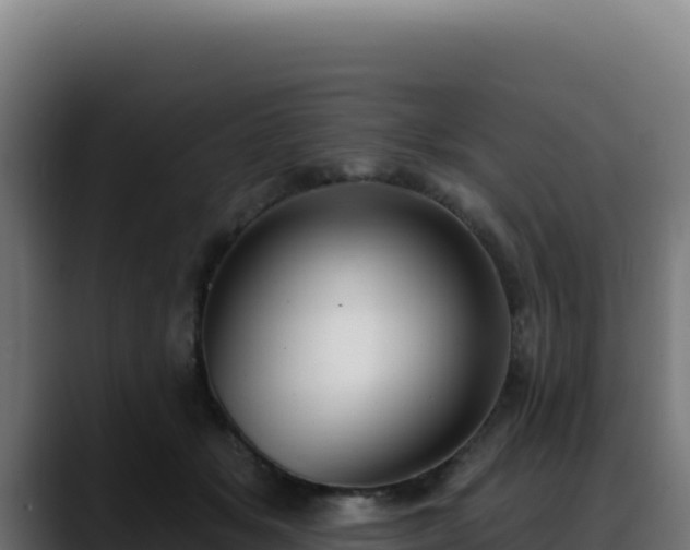 X0000088390509200705291411