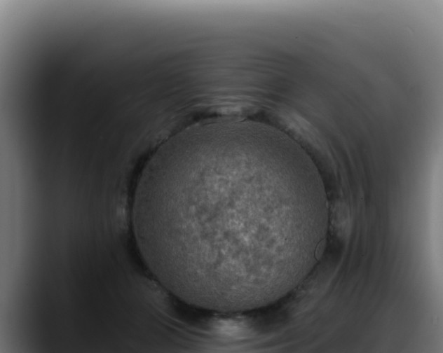 X0000088390510200705291411