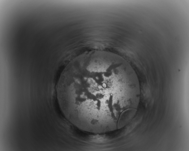 X0000088390511200705291411