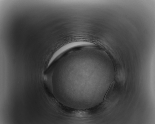 X0000088390512200705291411